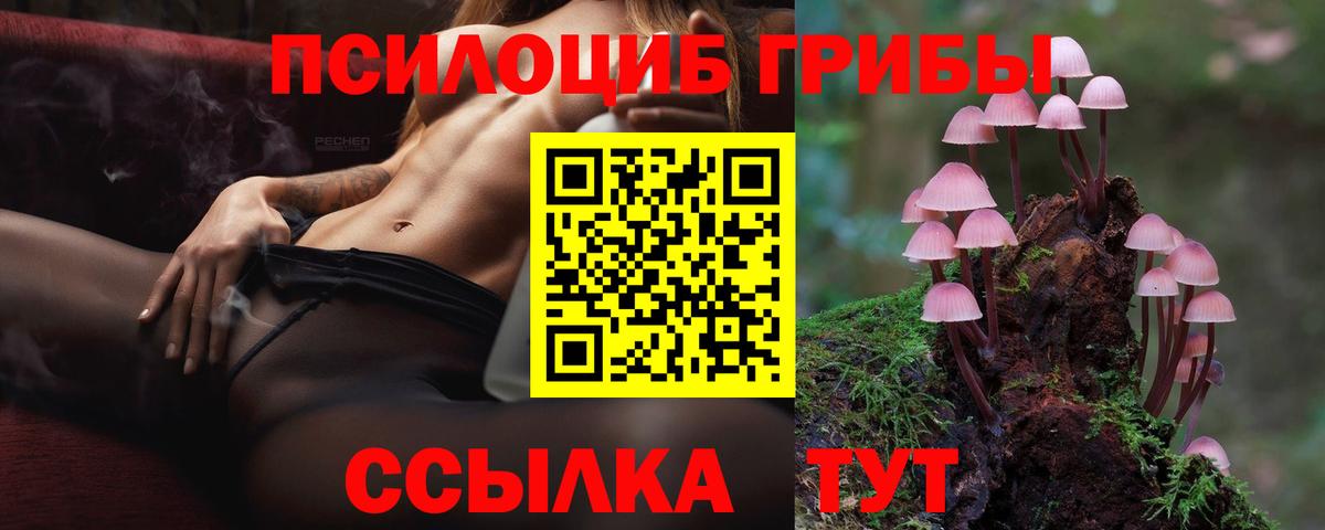 Галлюциногенные грибы мухоморы Юрга